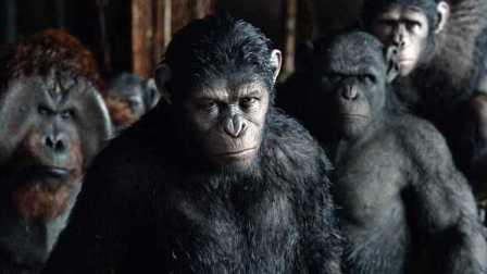猿族崛起2在线观看,进化之战在线观影指南  第2张